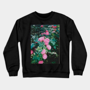 pink roses Crewneck Sweatshirt